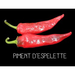 Piment d’Espelette