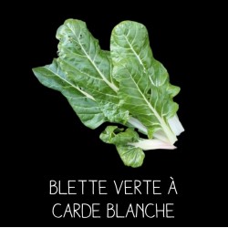Blette verte à carde...