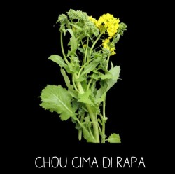Chou Cima di Rapa...