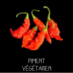 Piment Végétarien