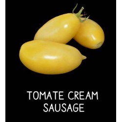 Tomate cream sausage
